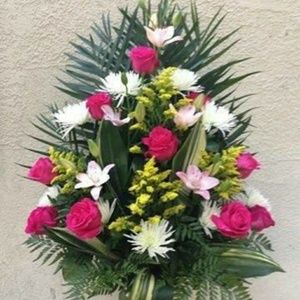 Meet your Posher, Jose